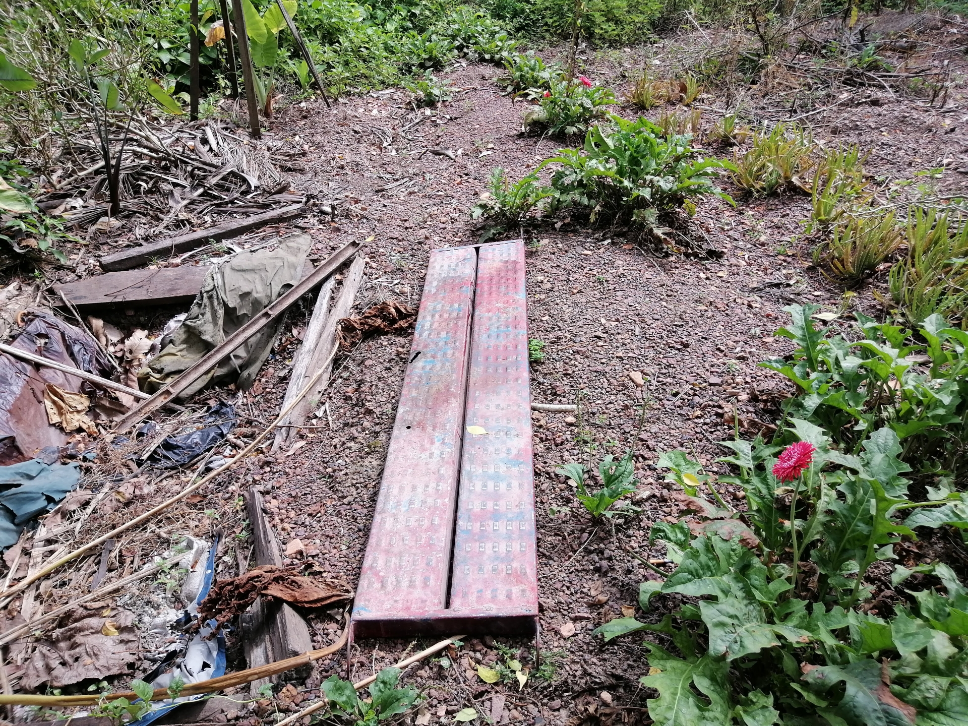 Vụ nam công nhân rơi 17 tầng tử vong: “Tại sao lại vô tâm với con tôi như vậy?” vu nam cong nhan roi 17 tang tu vong tai sao lai vo tam voi con toi nhu vay