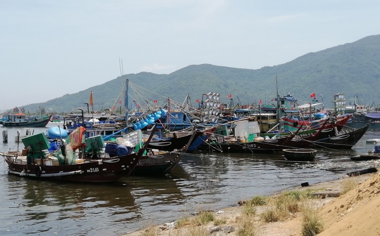 Cảng cá lớn nhất Đà Nẵng tạm dừng hoạt động do liên quan đến ca Covid-19 tại Quảng Ngãi Cảng cá lớn nhất Đà Nẵng tạm dừng hoạt động do liên quan đến ca Covid-19 tại Quảng Ngãi