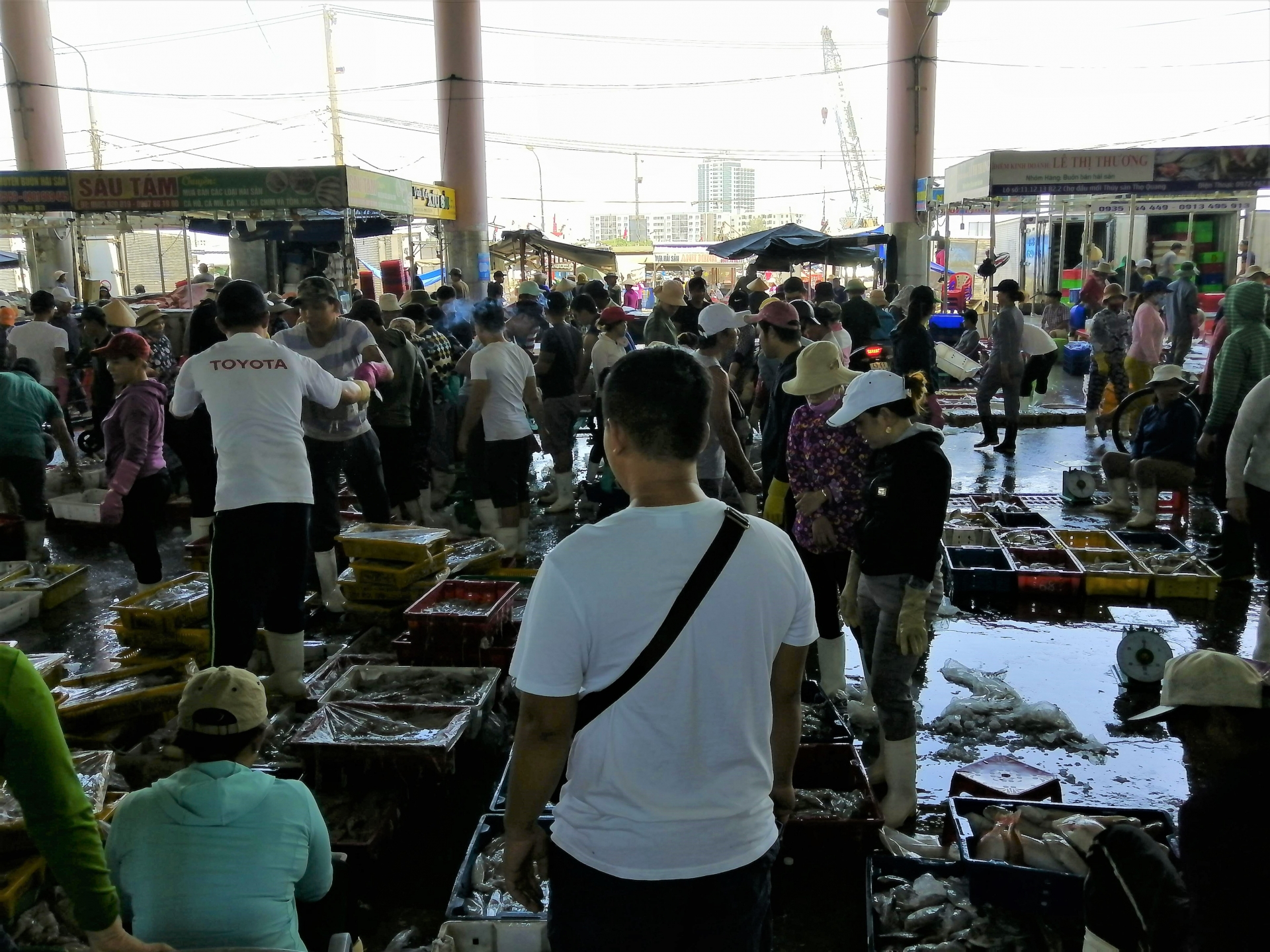 Cảng cá lớn nhất Đà Nẵng tạm dừng hoạt động do liên quan đến ca Covid-19 tại Quảng Ngãi Cảng cá lớn nhất Đà Nẵng tạm dừng hoạt động do liên quan đến ca Covid-19 tại Quảng Ngãi