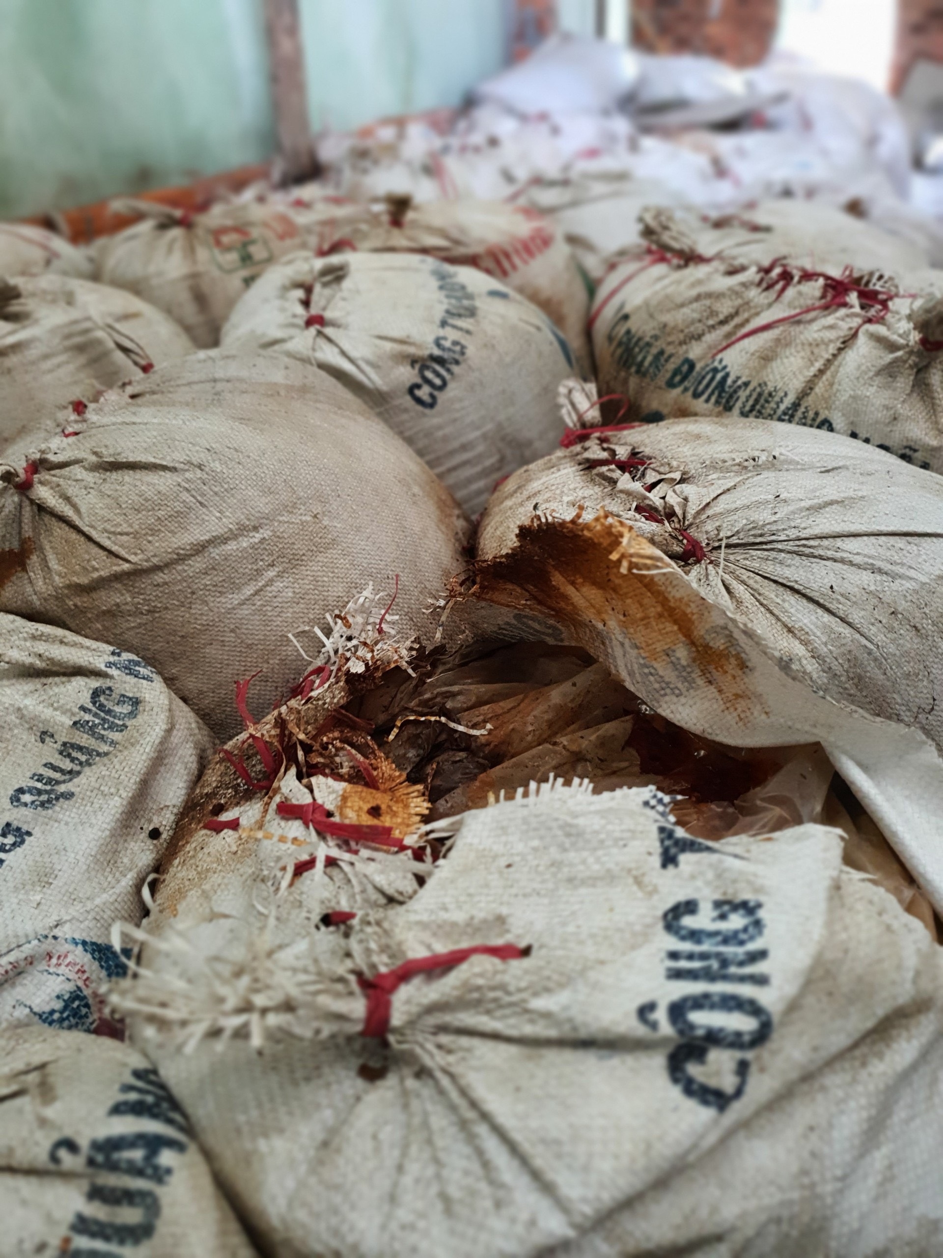 Điểm thi đặc biệt của các thí sinh là F1, F2 tại Đà Nẵng