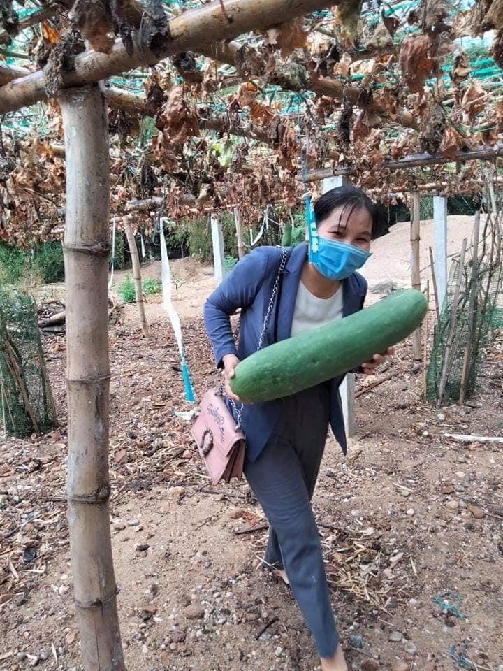 Tấm lòng của người Quảng Nam chung sức cùng Đà Nẵng chống dịch Tấm lòng của người Quảng Nam chung sức cùng Đà Nẵng chống dịch