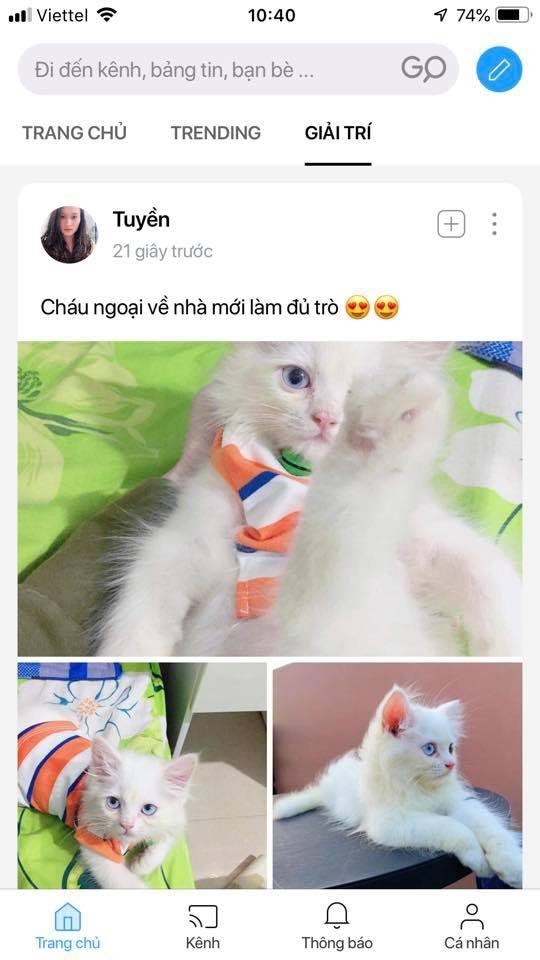 Mạng xã hội Lotus hứa hẹn nhiều trải nghiệm siêu việt mang xa hoi loutus hua hen nhieu trai nghiem sieu viet