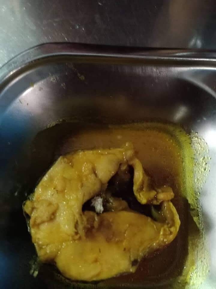 Tiếp tục ngưng việc vì thức ăn xuất hiện sinh vật lạ tiep tuc ngung viec vi thuc an xuat hien sinh vat la