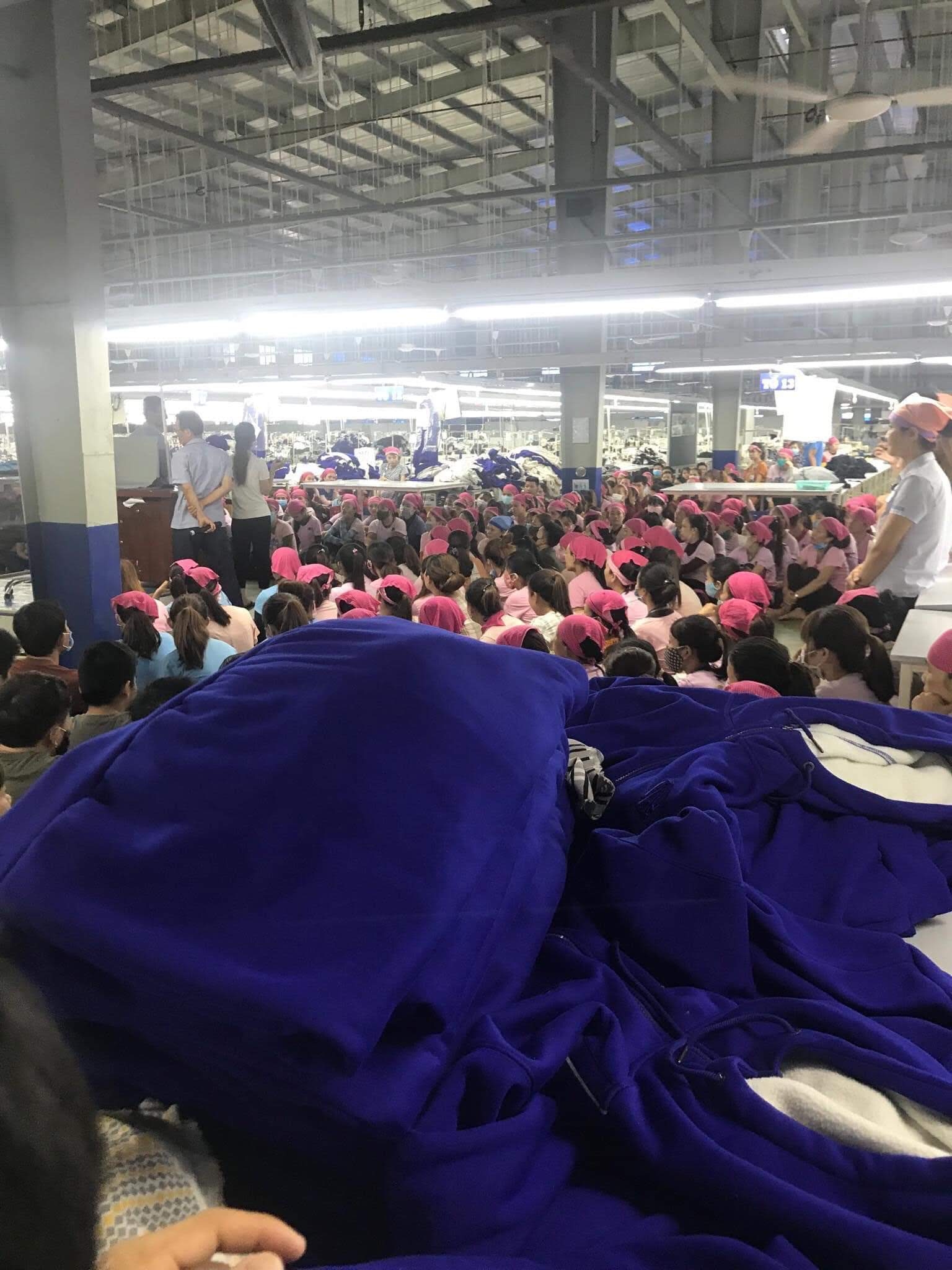 Tiếp tục ngưng việc vì thức ăn xuất hiện sinh vật lạ tiep tuc ngung viec vi thuc an xuat hien sinh vat la