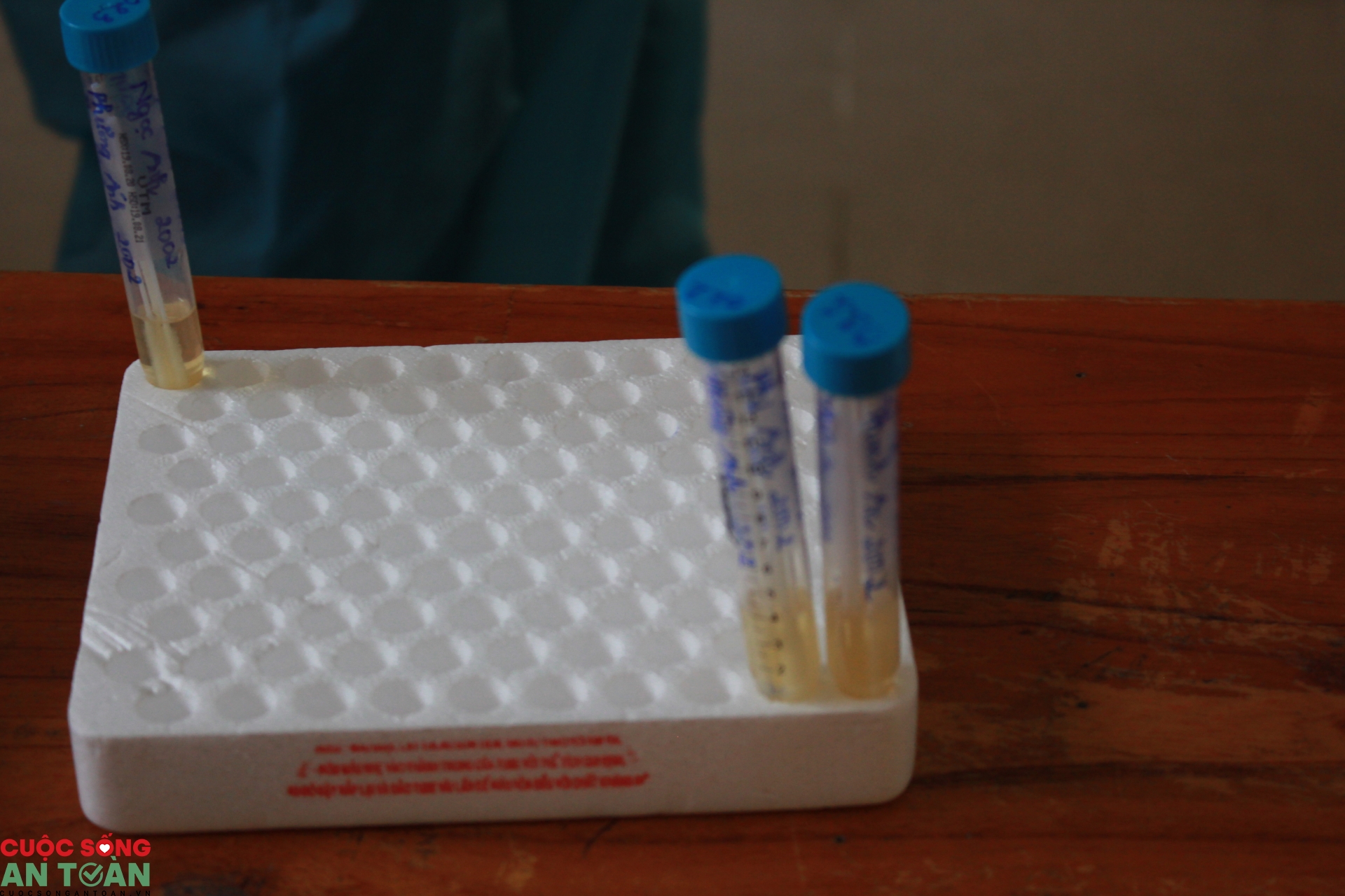 Đà Nẵng: Nhiều phụ huynh và con em người lao động sẵn sàng trước kỳ thi tốt nghiệp