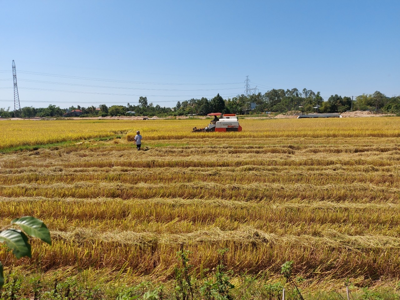 Chung sức giữa mùa dịch