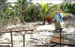 dich ta lon chau phi tro lai chu y an toan ve sinh thuc pham