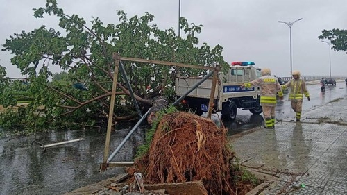 Sau bão số 5, cây ngã đổ, trường học gần biển gió rít mạnh, nhiều nơi cho NLĐ về sớm sau bao so 5 cay nga do truong hoc gan bien gio rit manh nhieu noi cho nld ve som