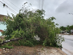 xuat hien cong van gia cua so giao duc dao tao cho hoc sinh nghi hoc sau bao so 5