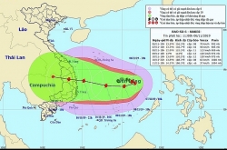 chu trong tiem vacxin lo mom long mong cho gia suc gia cam