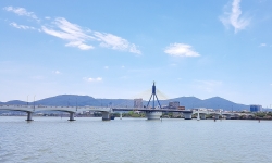 chu trong tiem vacxin lo mom long mong cho gia suc gia cam