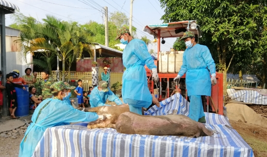 An Giang ngăn chặn lợn nhập lậu ngay từ biên giới an giang ngan chan lon nhap lau ngay tu bien gioi