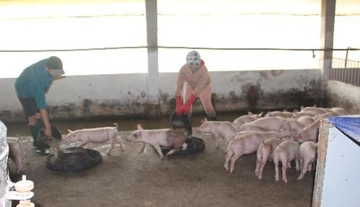 Đà Nẵng triển khai "Tháng tổng vệ sinh, khử trùng, tiêu độc môi trường"