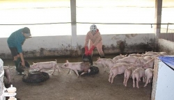 phong ngua dau tranh voi toi pham lien quan den hoat dong tin dung den