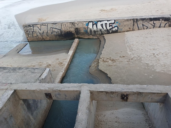 nguoi lao dong tro lai buon ban sau khi tinh trang nuoc ban tran ra bien duoc cai thien