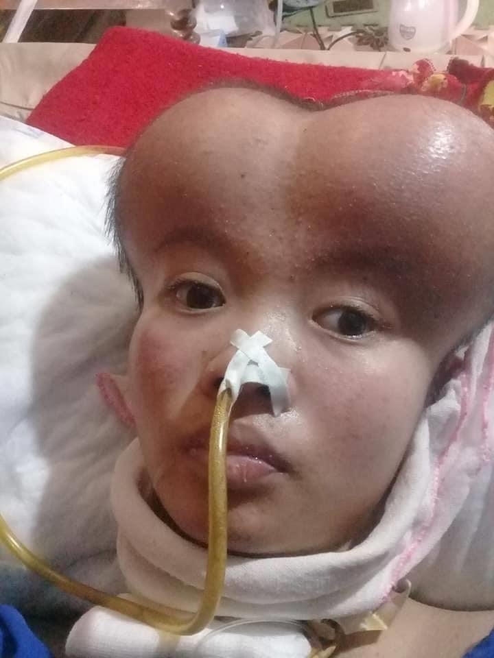 tinh cha con anh cong nhan truoc su song va cai chet khien nhieu nguoi roi le