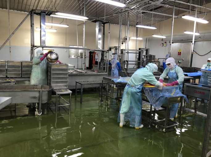 Phương án Phương án