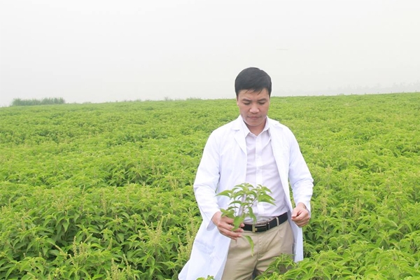 Nhãn hàng Collagen Tây Thi New của Sao Thái Dương cam kết hoàn tiền 100% nhan hang collagen tay thi new cua sao thai duong cam ket hoan tien 100