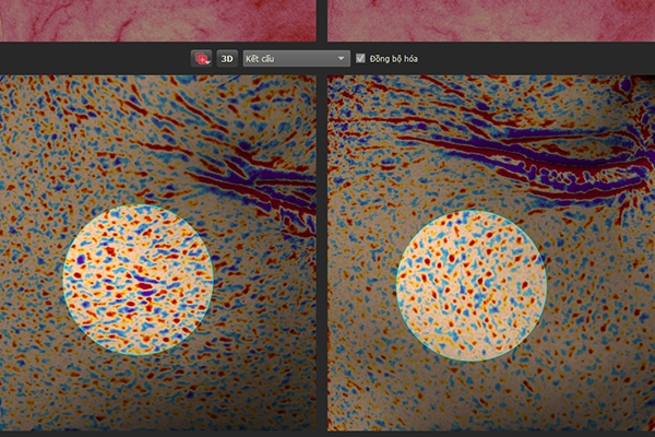 Nhãn hàng Collagen Tây Thi New của Sao Thái Dương cam kết hoàn tiền 100% nhan hang collagen tay thi new cua sao thai duong cam ket hoan tien 100