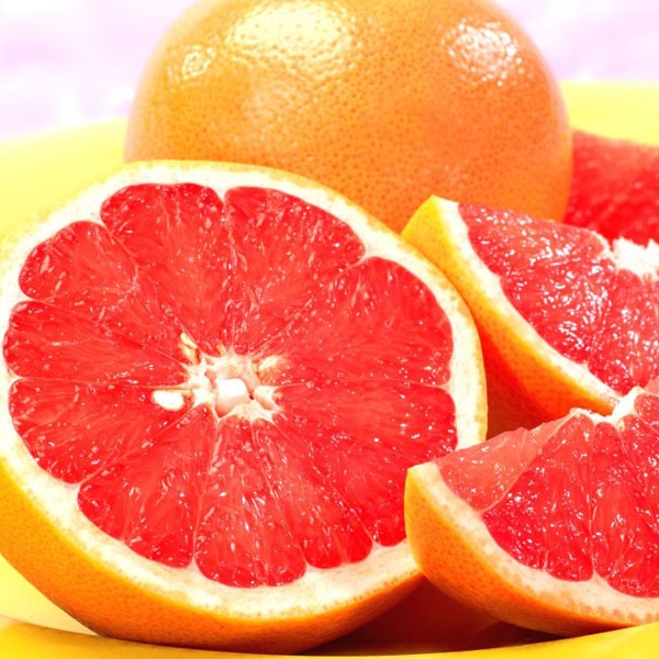 Thành công trong việc trồng và gây giống Cam Cara ruột đỏ không hạt thanh cong trong viec trong va gay giong cam cara ruot do khong hat