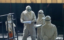 tet them du vi voi nhung chiec banh chung banh tet day yeu thuong