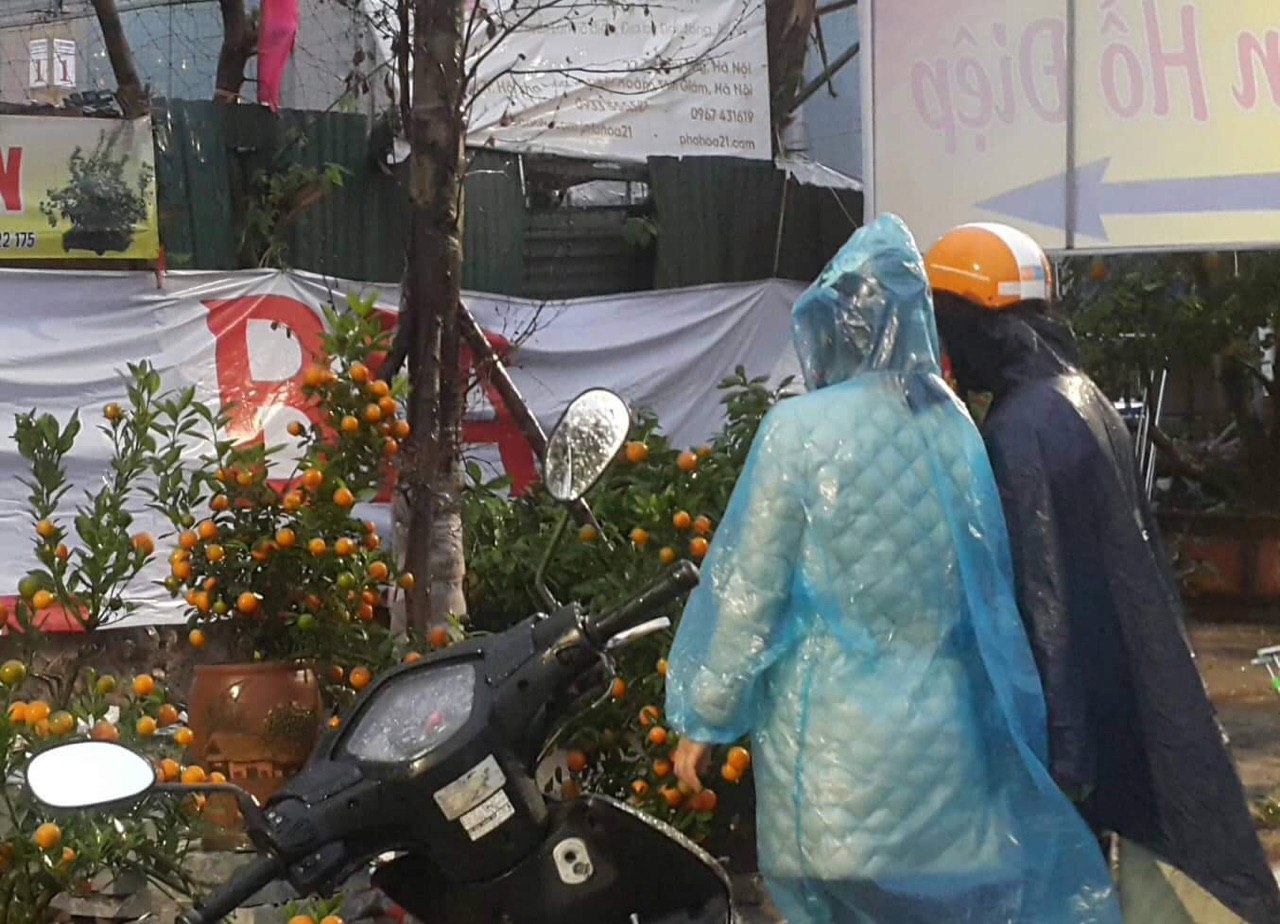 Chợ hoa Tết đêm 30 cho hoa tet dem 30