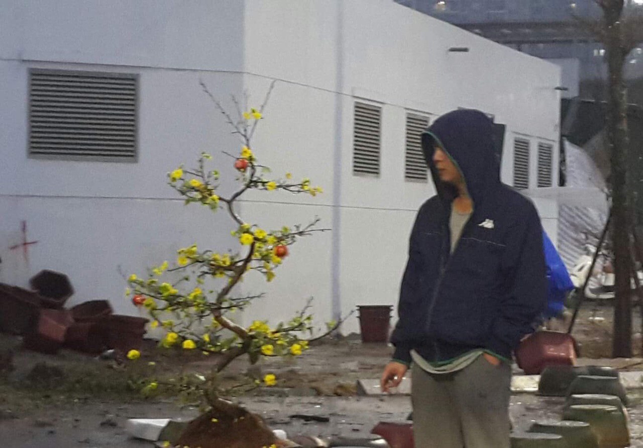 Chợ hoa Tết đêm 30 cho hoa tet dem 30