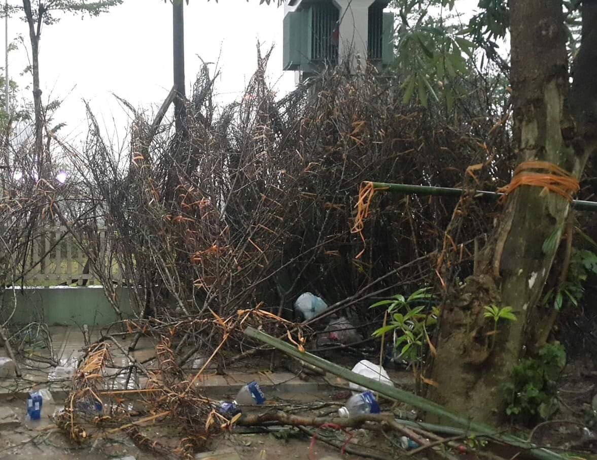 Chợ hoa Tết đêm 30 cho hoa tet dem 30