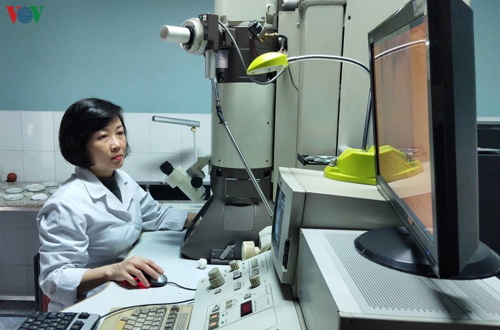 Việt Nam: Nuôi cấy và phân lập thành công virus corona mới (nCoV) viet nam nuoi cay va phan lap thanh cong virus corona moi ncov