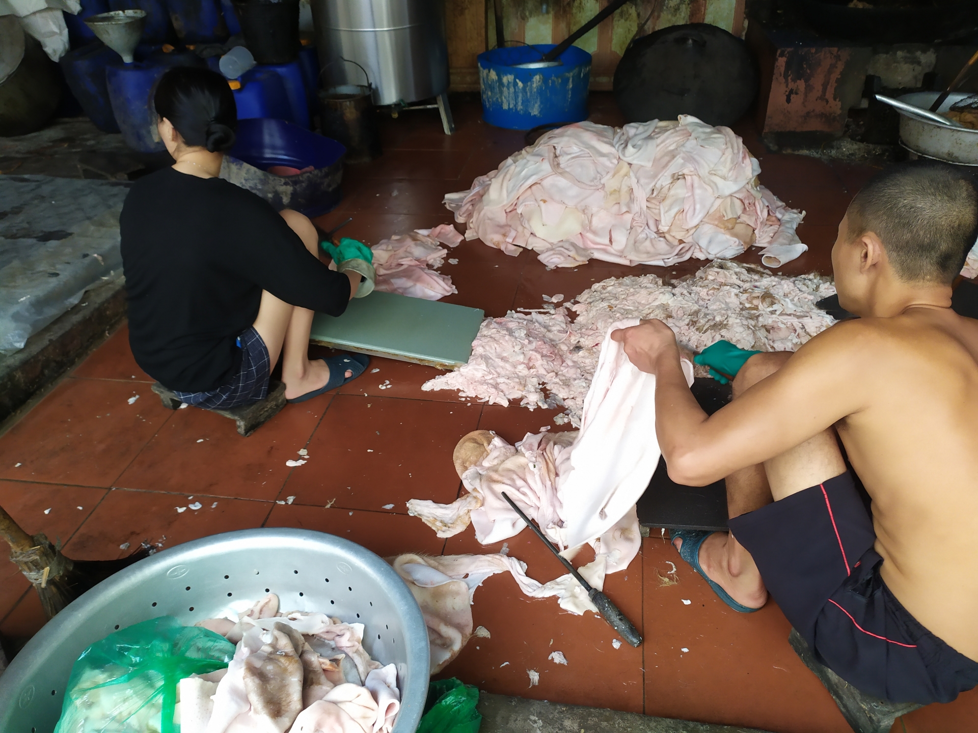 dot kich co so san xuat va thu mua mo ban tai hung yen