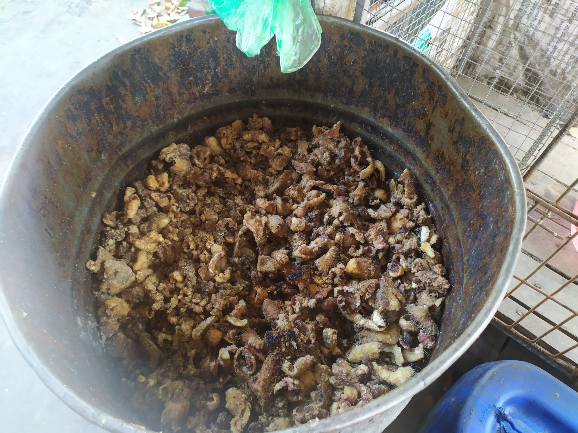 dot kich co so san xuat va thu mua mo ban tai hung yen