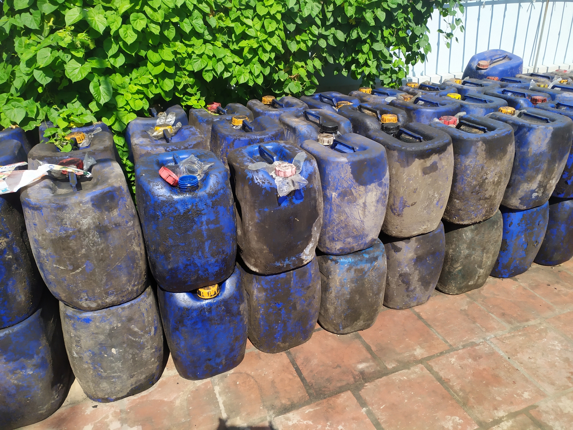 dot kich co so san xuat va thu mua mo ban tai hung yen