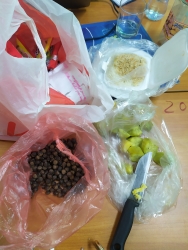 tsbs benh vien benh nhiet doi tw mach ban cach phong va dieu tri benh sot xuat huyet