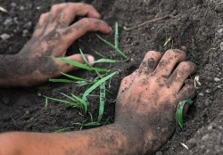 5 quy dinh moi ve luong thuong cua nguoi lao dong