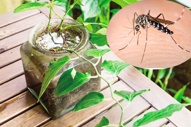 Cách dọn dẹp nhà cửa sạch sẽ đúng cách để bảo vệ sức khoẻ cach don dep nha cua sach se dung cach de bao ve suc khoe