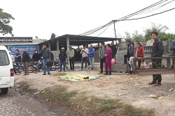 cam chinh vu an ngon va re mach ban cach an cam dai bo