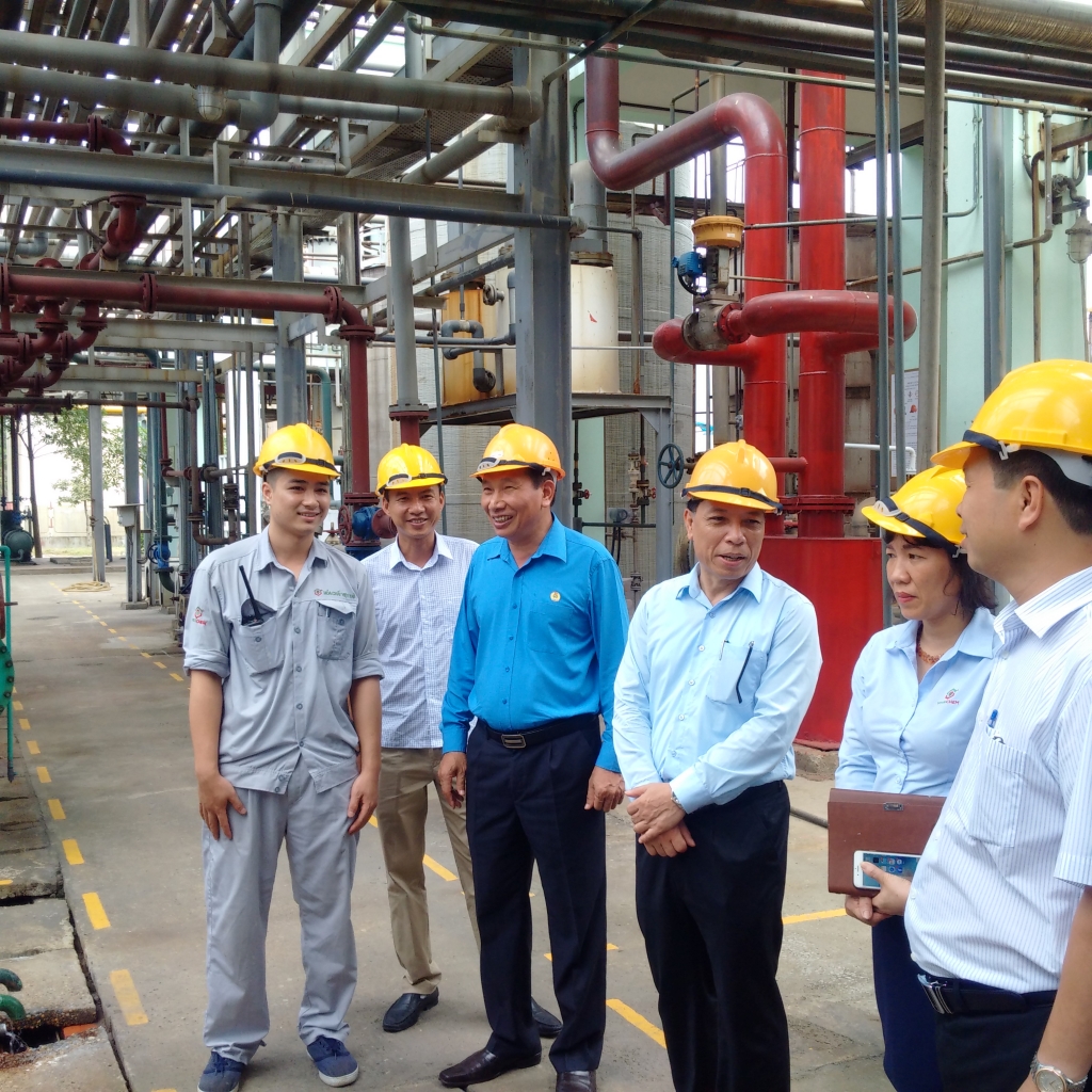 Công ty Cổ phần Hóa chất Việt Trì: 'Chưa từng có công nhân mắc bệnh nghề nghiệp' cong ty co phan hoa chat viet tri chua tung co cong nhan mac benh nghe nghiep