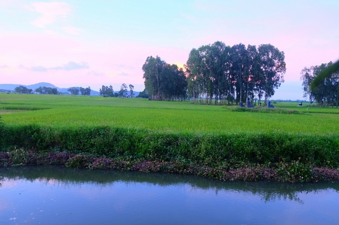 hanh trinh dep cua gao ngong