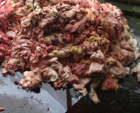 de cuu dong bao minh va chinh minh