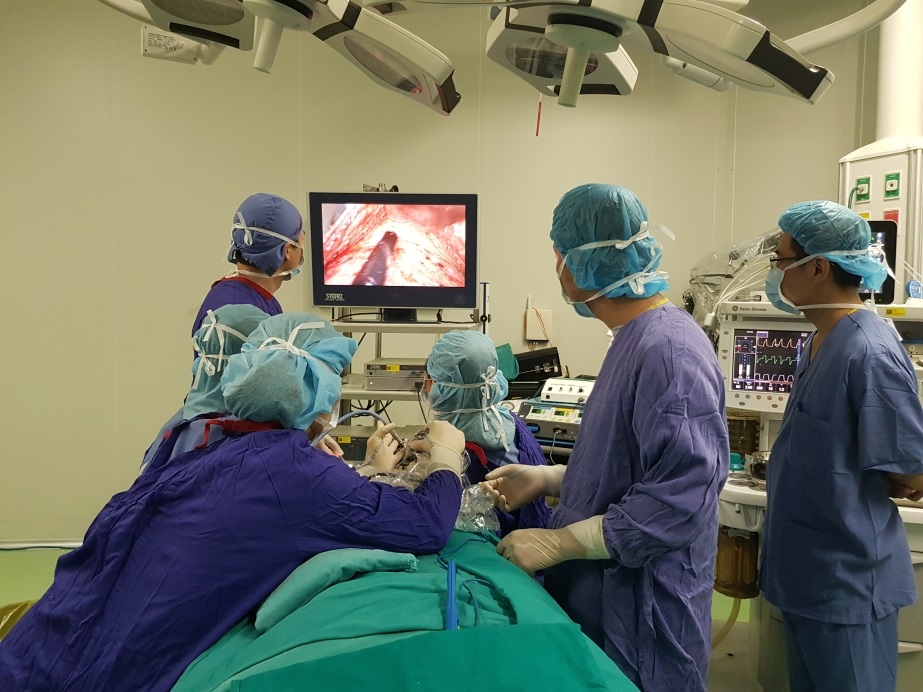 Thẩm mỹ làm đẹp và những điều bạn cần biết để đảm bảo an toàn tham my lam dep va nhung dieu ban can biet de dam bao an toan