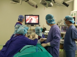 van de suc khoe nguy co nhiem benh voi tho lam toc