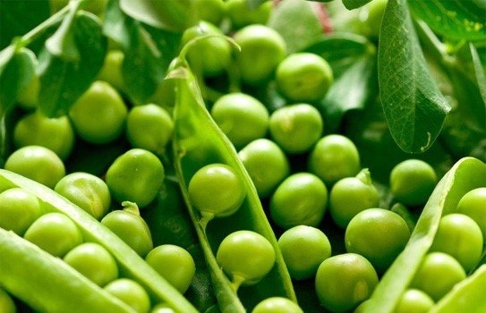 10 loai thuc pham nen an thuong xuyen giup chong muoi hieu qua