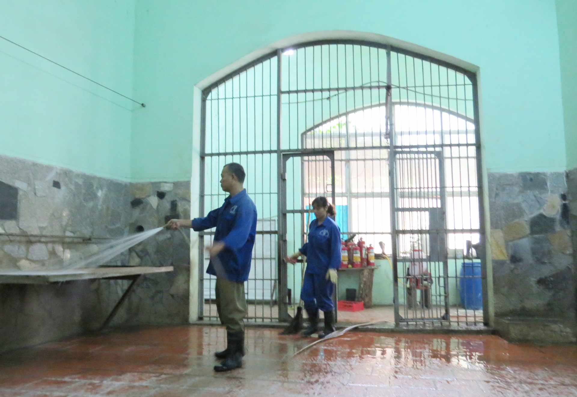 Nam công nhân vườn thú xúc động kể chuyện tình của đôi sư tử “Nam - Phi” nam cong nhan vuon thu xuc dong ke chuyen tinh cua doi su tu nam phi