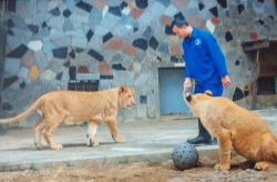 khi gio mua dong bac ve