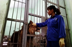 sau chien thang campuchia viet nam se co hcv sea games sau 60 nam