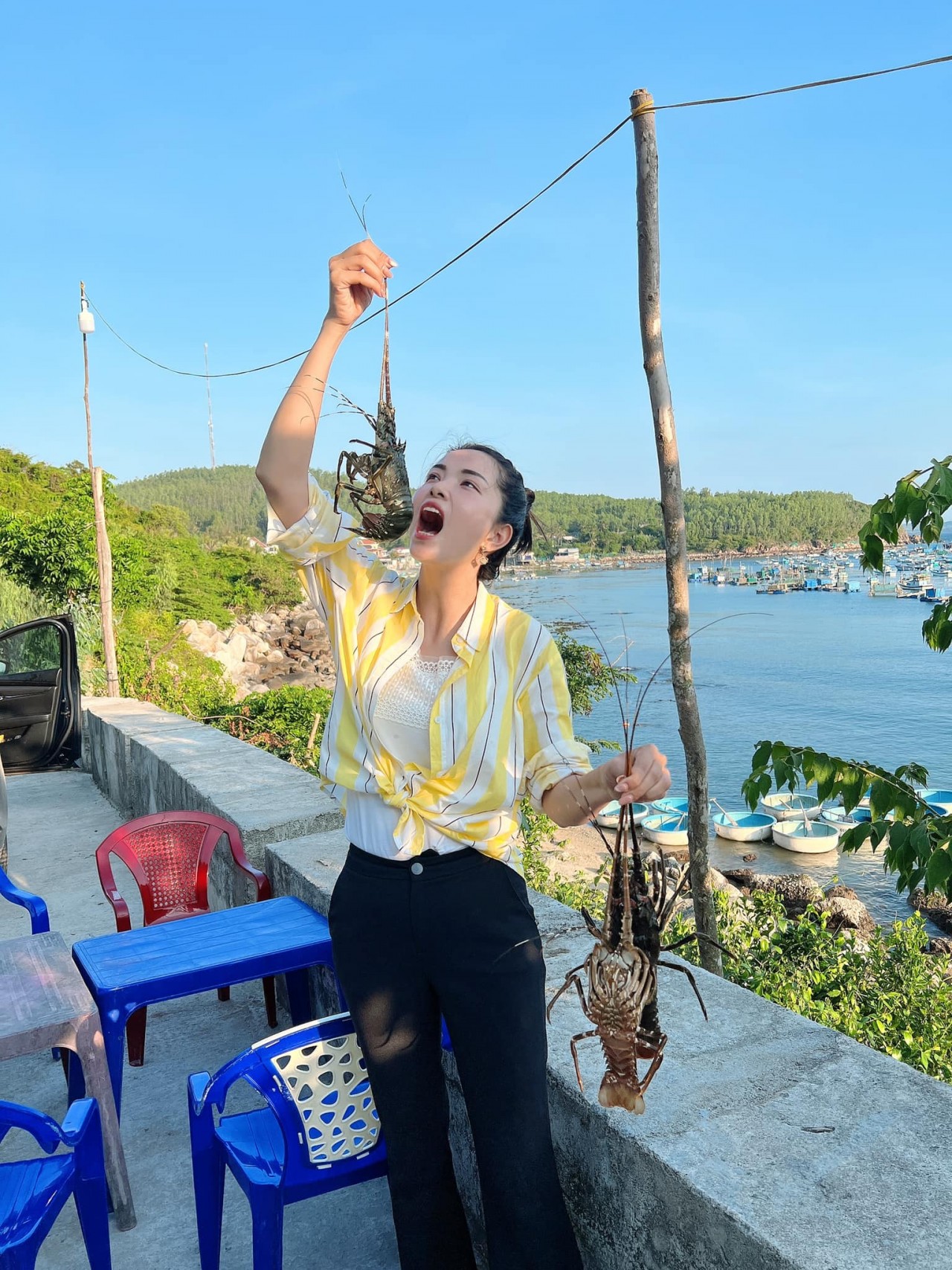 "Em đã một mình cầm vô lăng lái xe từ Bắc vào đến Mũi Cà Mau!" "Em đã một mình cầm vô lăng lái xe từ Bắc vào đến Mũi Cà Mau!"