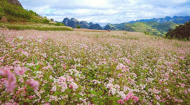 Những điểm du lịch hấp dẫn trong mùa thu nhung diem du lich hap dan trong mua thu