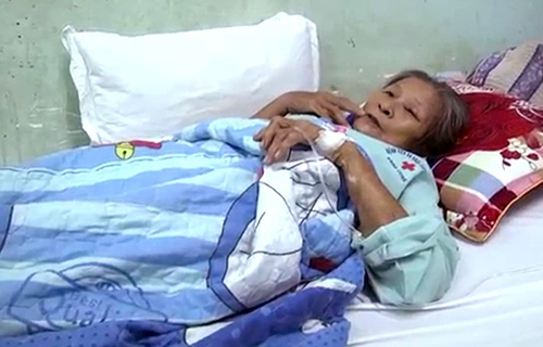 Nhiều người nhập viện vì bị đàn ong vò vẽ tấn công