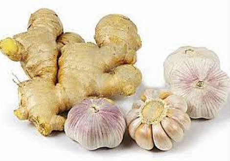 nhung loai thuc pham tot cho phoi