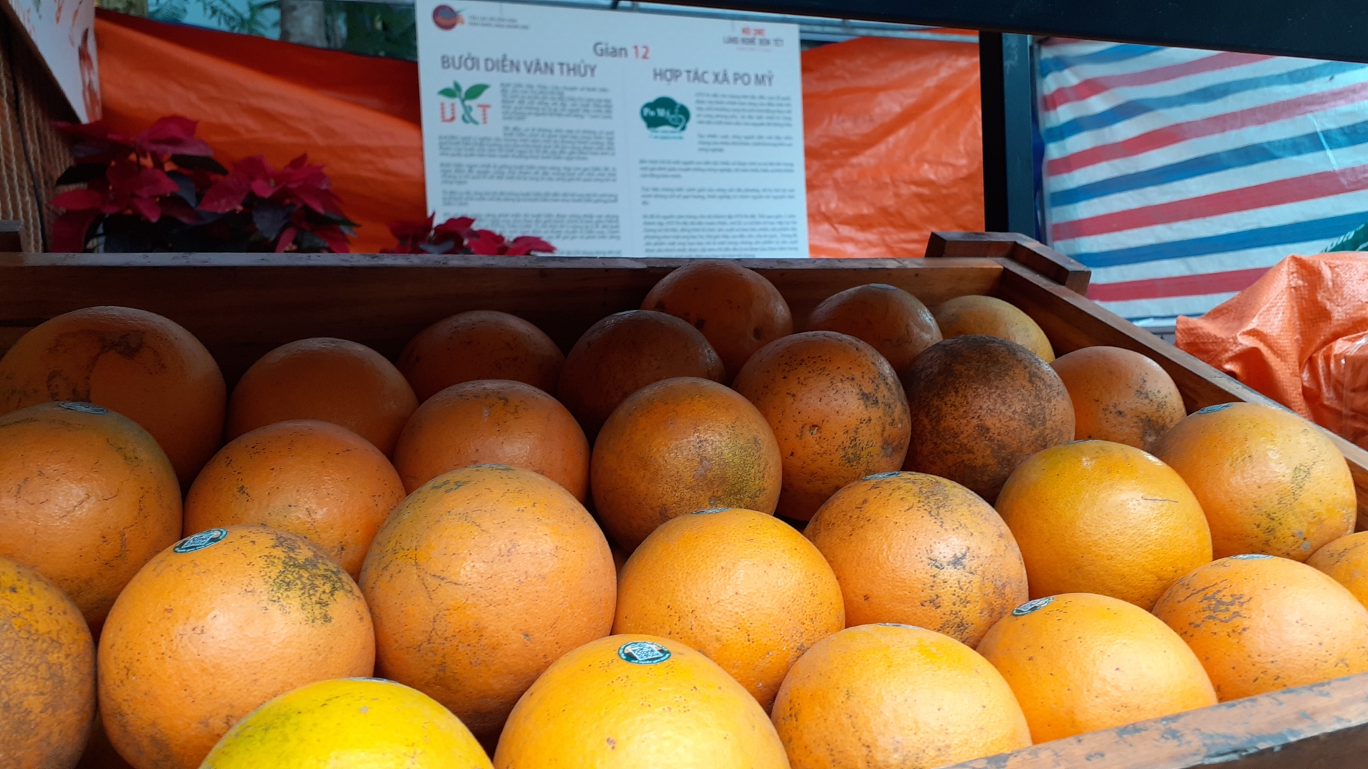 Có gì ở hội chợ làng nghề truyền thống năm 2020 tại phố bích họa Phùng Hưng? co gi o hoi cho lang nghe truyen thong nam 2020 tai pho bich hoa phung hung